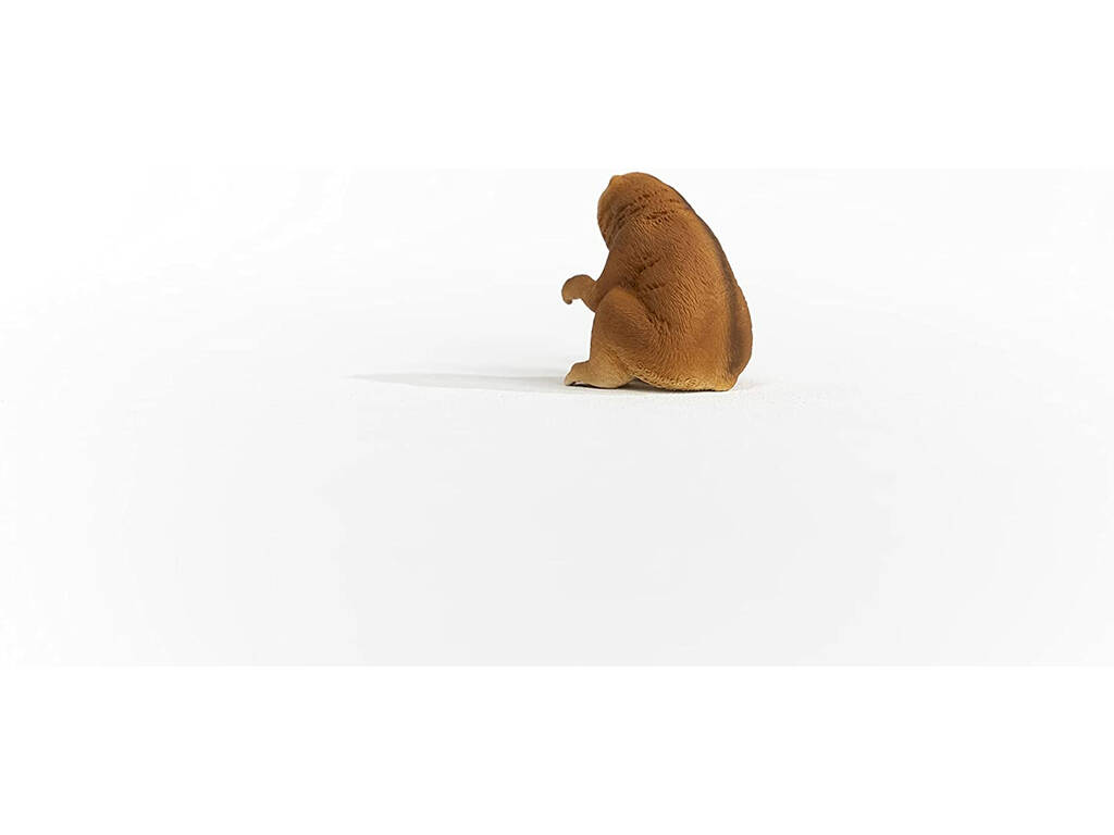 Lori Paresseux Schleich 14852