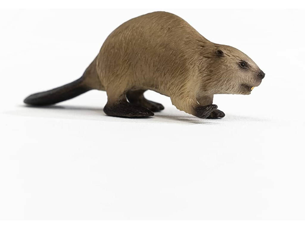 Castoro Schleich 14855