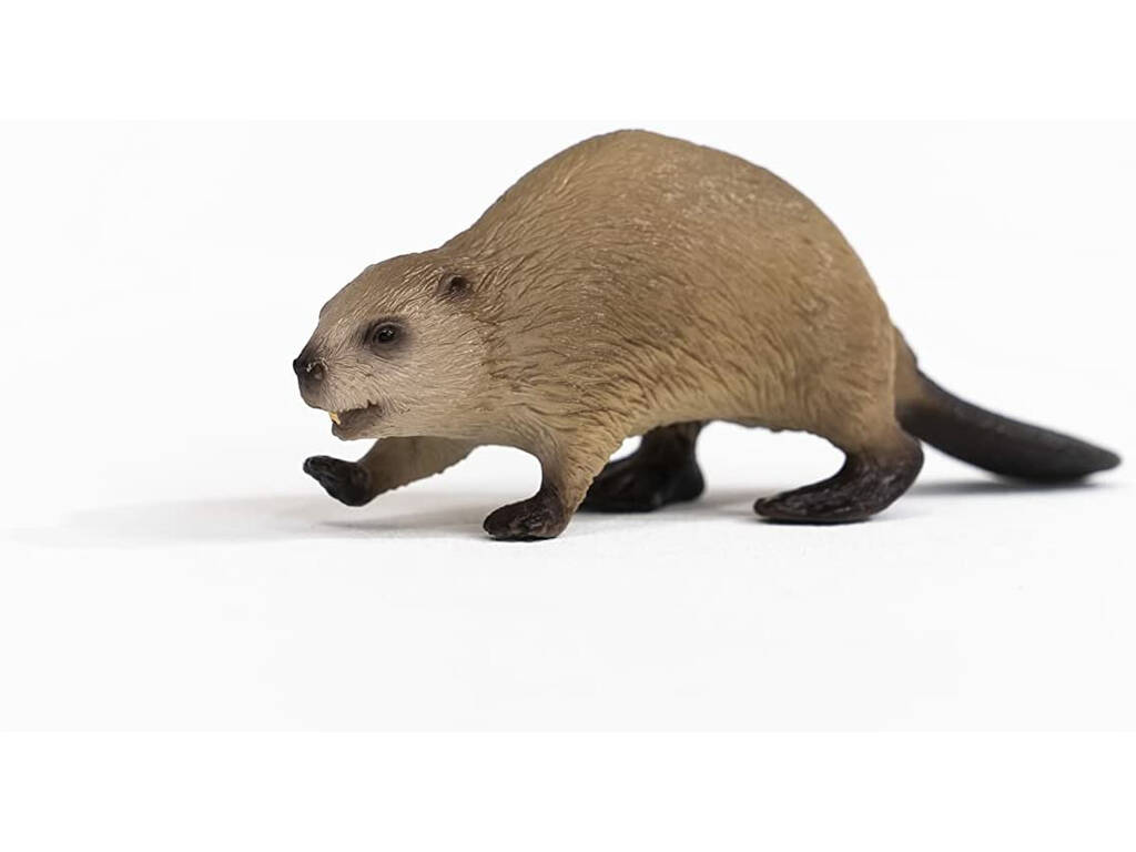 Castoro Schleich 14855