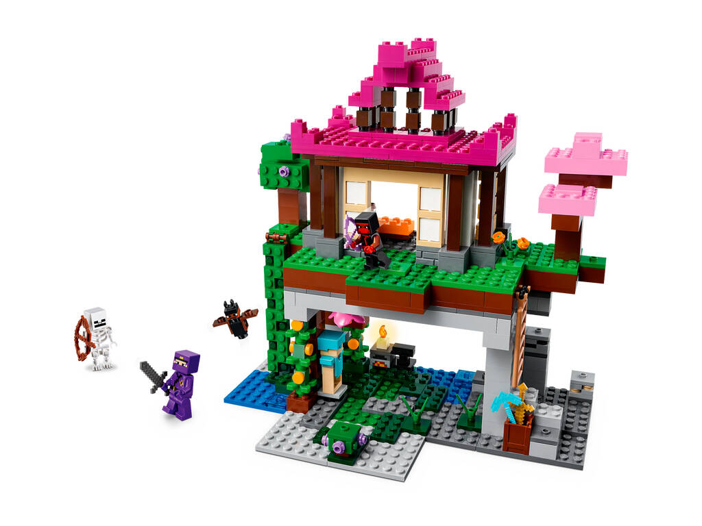Lego Minecraft Le camp d'entraînement 21183