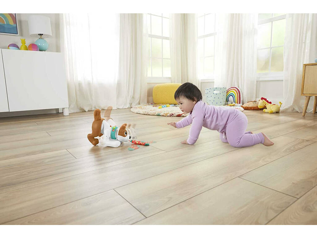 Fisher Price Cagnolino Gattona con me Mattel HGY57