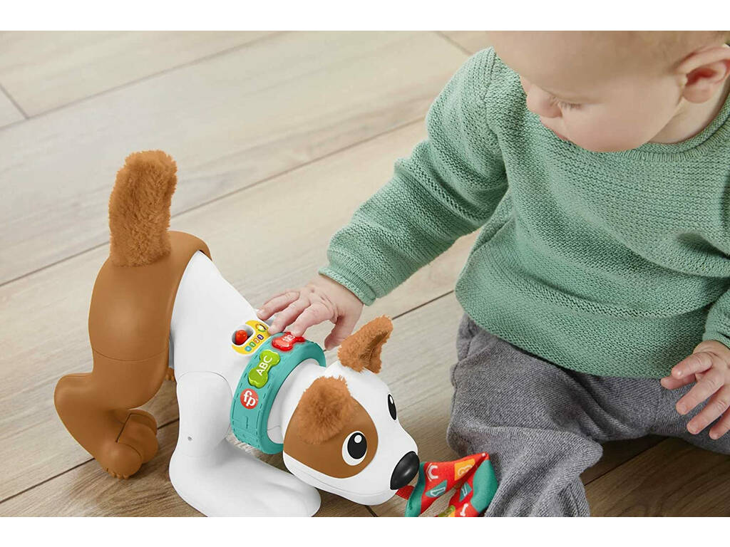 Fisher Price Cagnolino Gattona con me Mattel HGY57