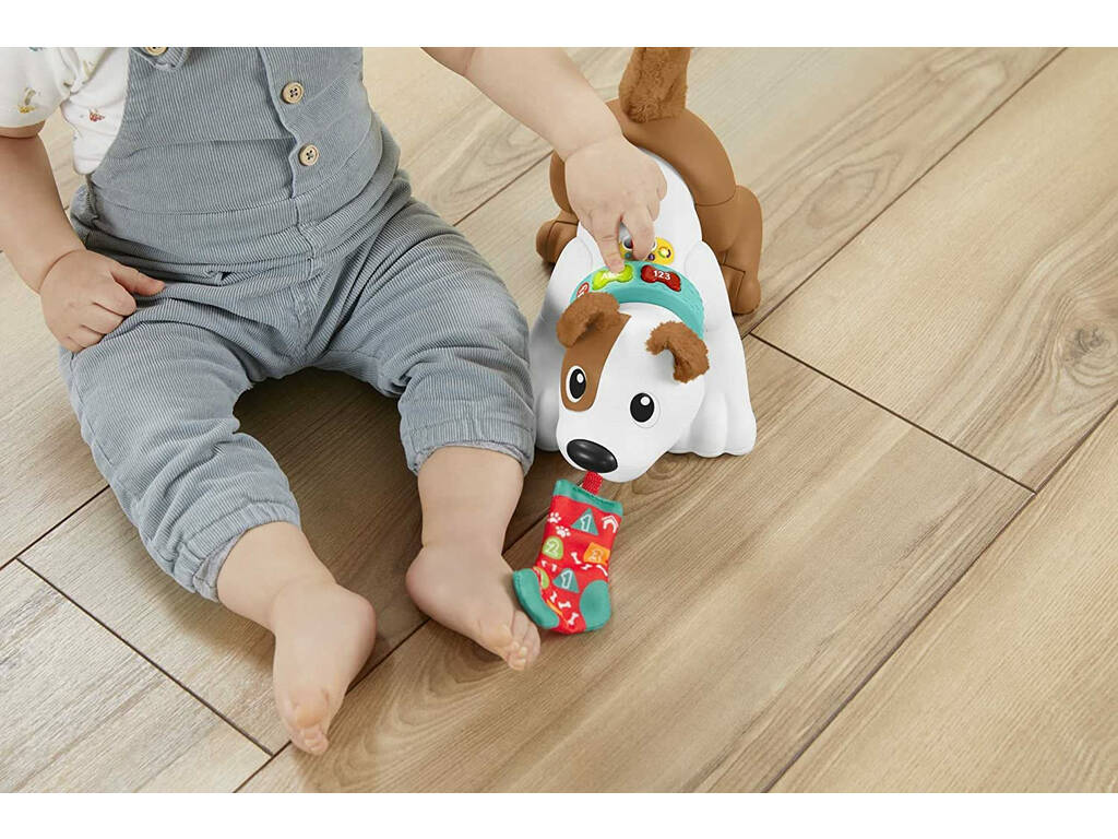 Fisher Price Cagnolino Gattona con me Mattel HGY57