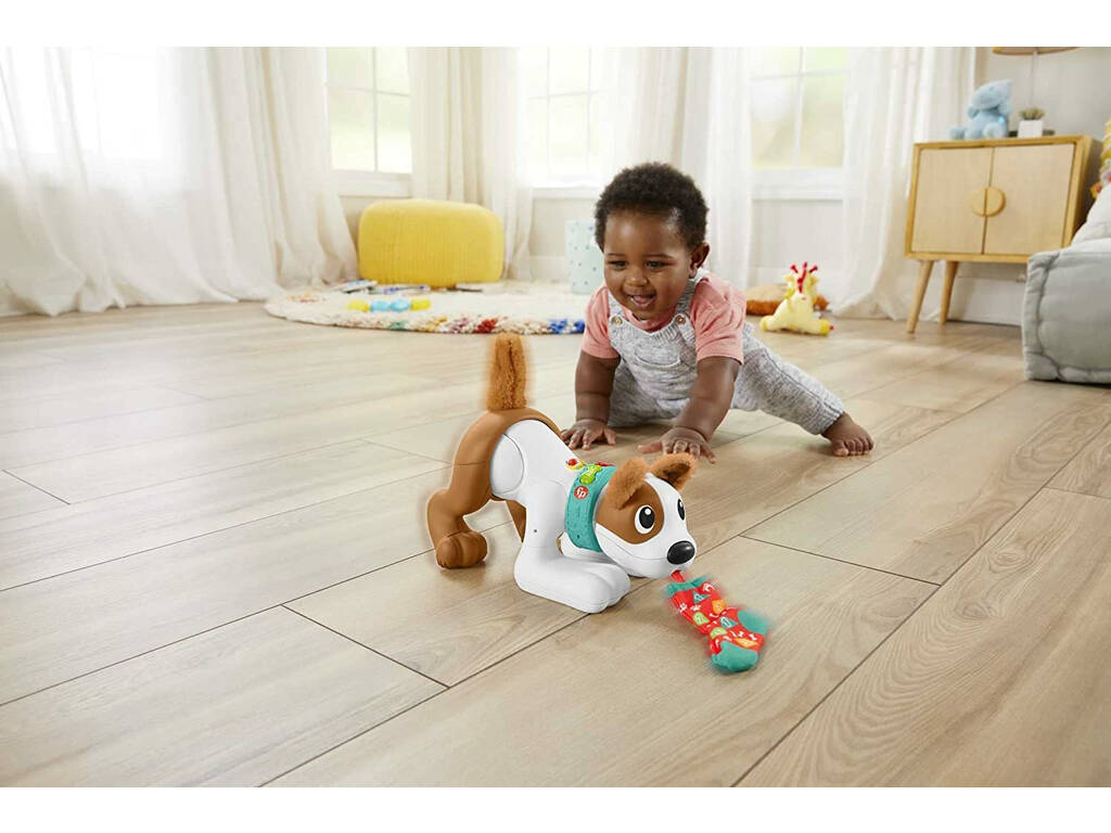 Fisher Price Cagnolino Gattona con me Mattel HGY57