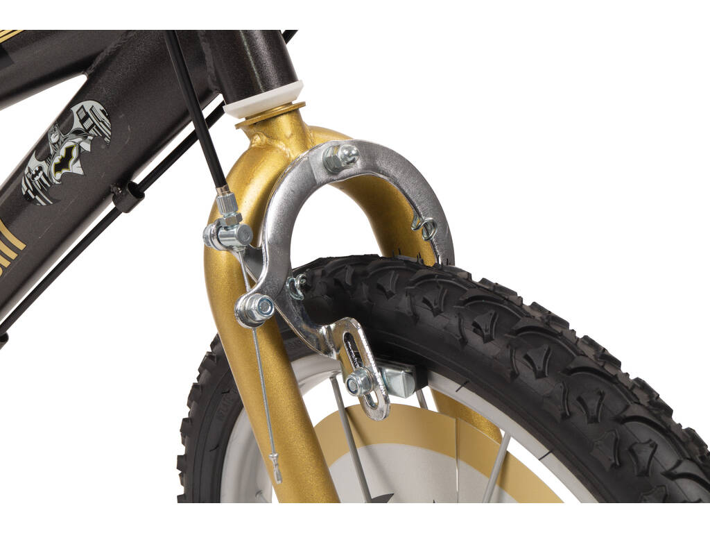 Bicicletta 16