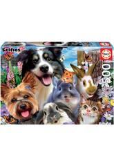 Puzzle 500 Amici del cortile Selfies Educa 19250