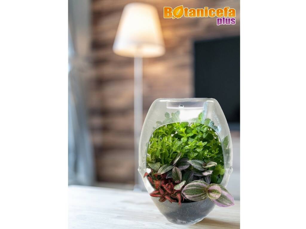 Botanicefa Plus Cefa Toys 21856