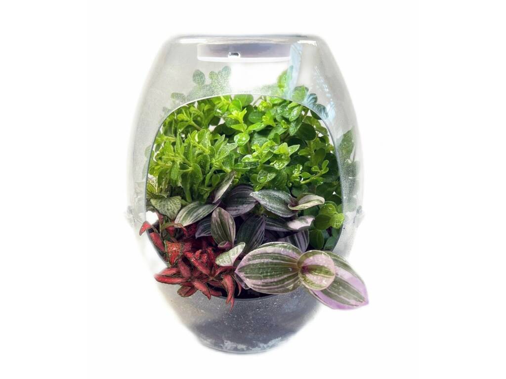 Botanicefa Plus Cefa Toys 21856
