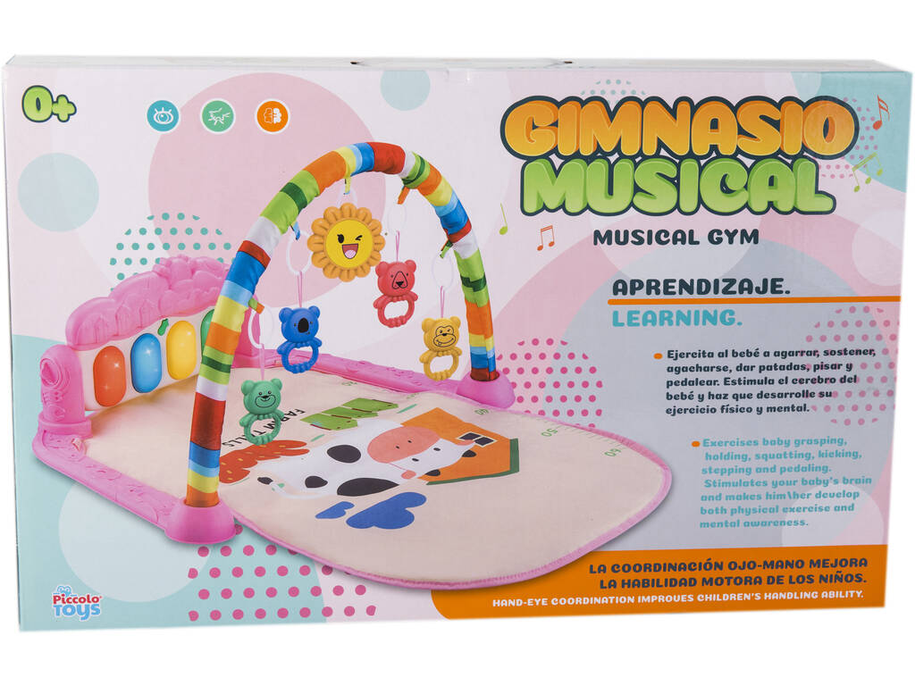 Ginásio Musical Infantil Rosa Vaquita