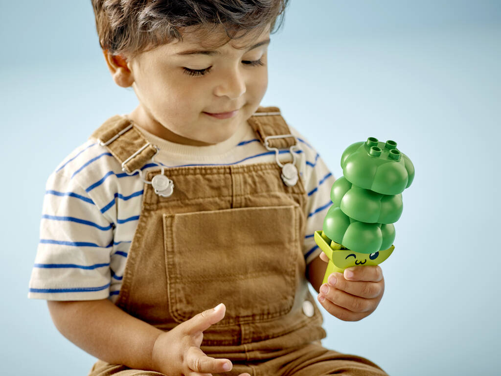 Lego Duplo Trattore per frutta e verdura 10982