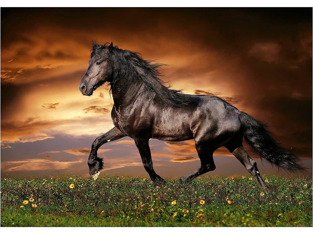 Puzzle 1000 Cavallo al trotto Educa 19555
