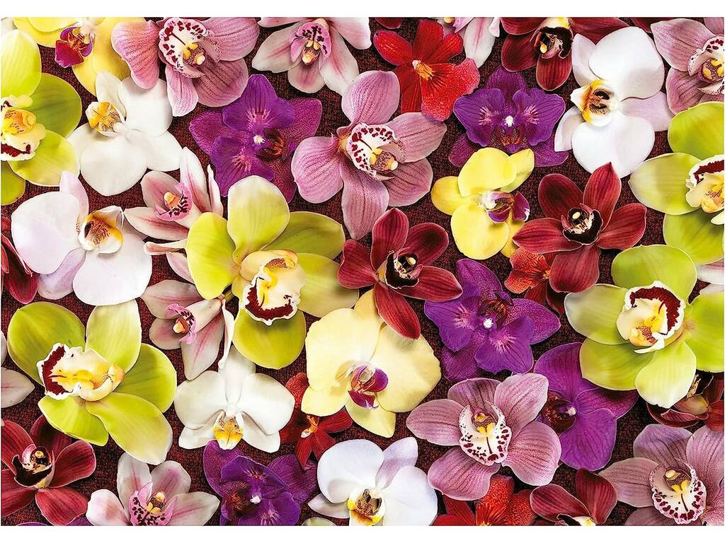 Puzzle 1000 Collage Orchidée Educa 19558