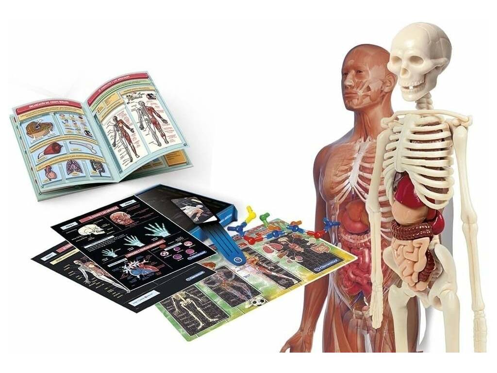 Laboratorio di Anatomia di Clementoni 55485