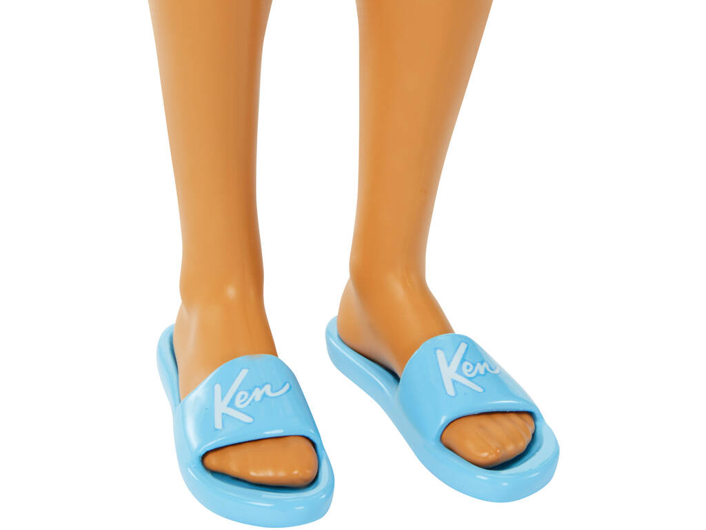 Poupée Barbie Ken Day at the Beach Mattel HPL74