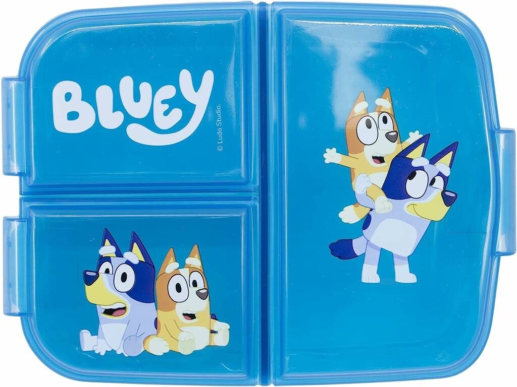 Tuperware Multiple Bluey de Stor 50620 