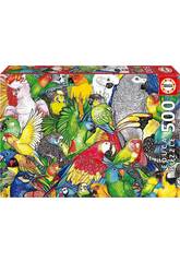Puzzle 500 Pappagalli di Educa 19547