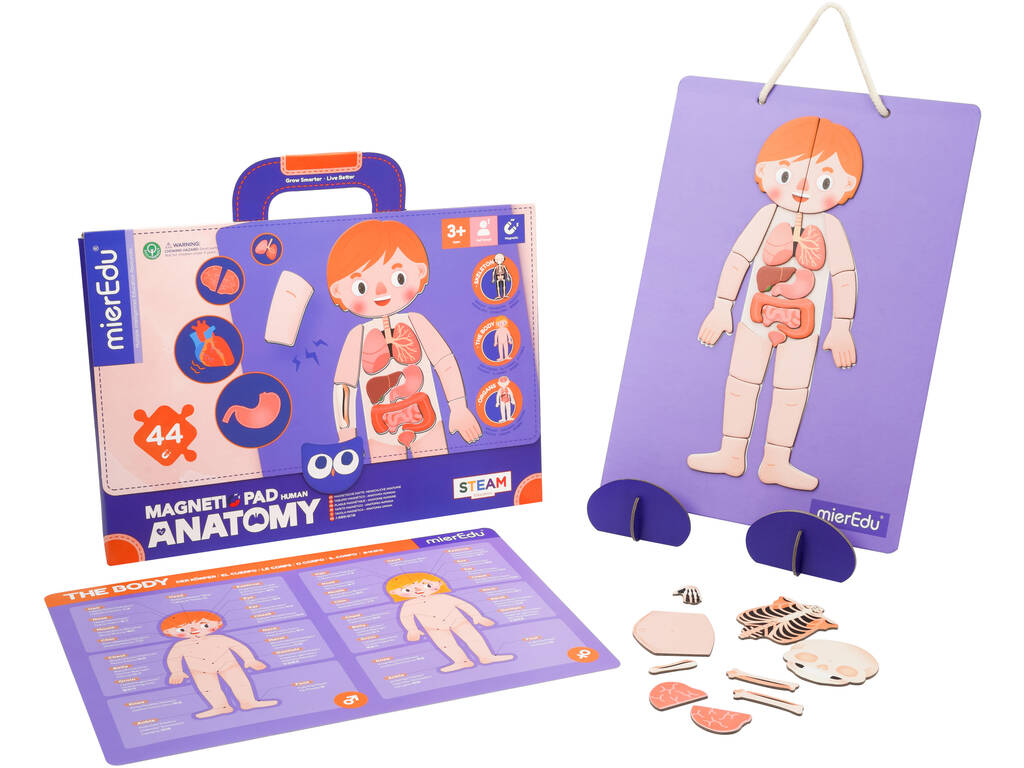 Magnetic Pad Anatomia Mier Edu ME0511