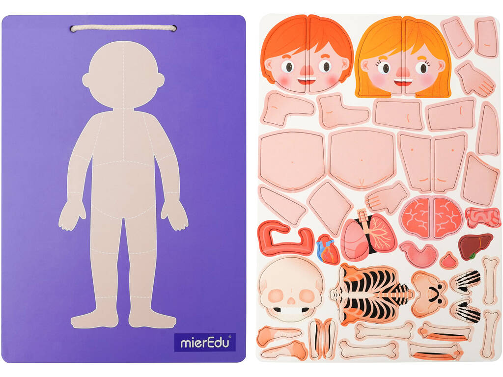Magnetic Pad Anatomia Mier Edu ME0511