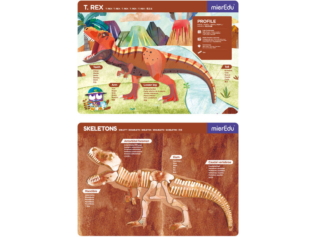 Magnétique Pad Tyrannosaures Rex de Mier Edu