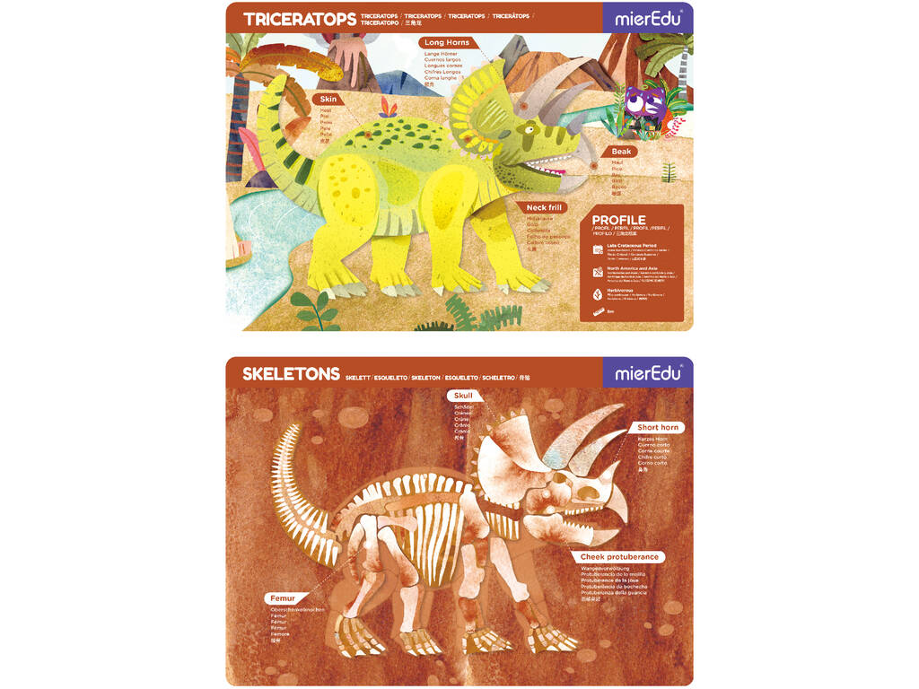 Magnétique Pad Triceratops Mier Edu ME0545