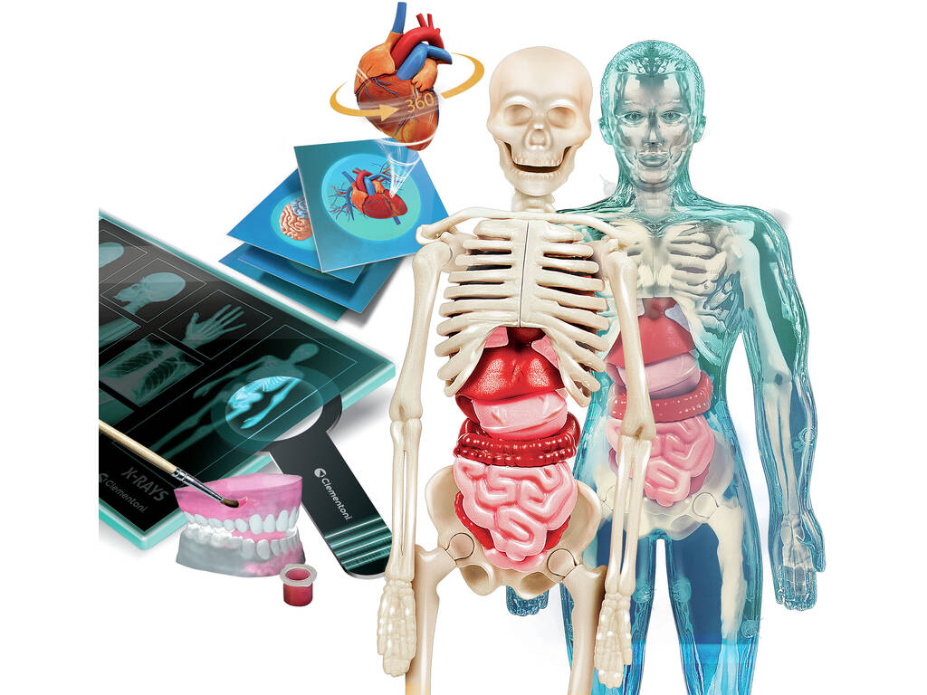 Super anatomie Clementoni 55509