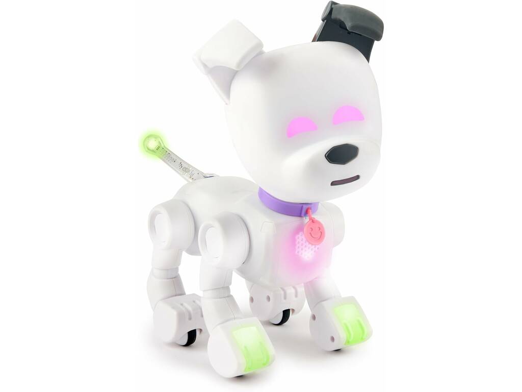 Dog E Bizak 61851691