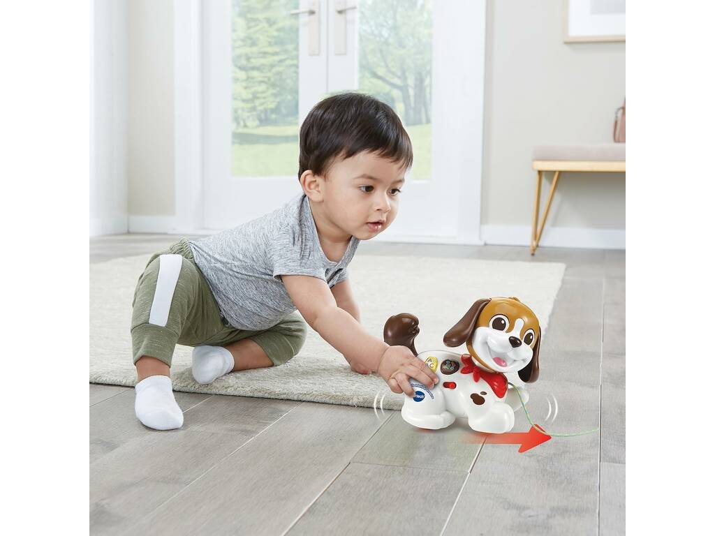 Cagnolino per Bambini passeggiate e avventure Vtech 565022 