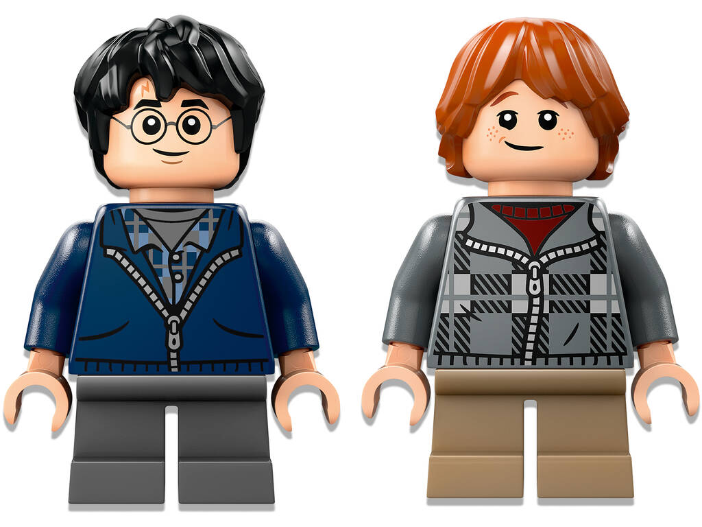 Lego Harry Potter Aragog en el Bosque Prohibido 76434