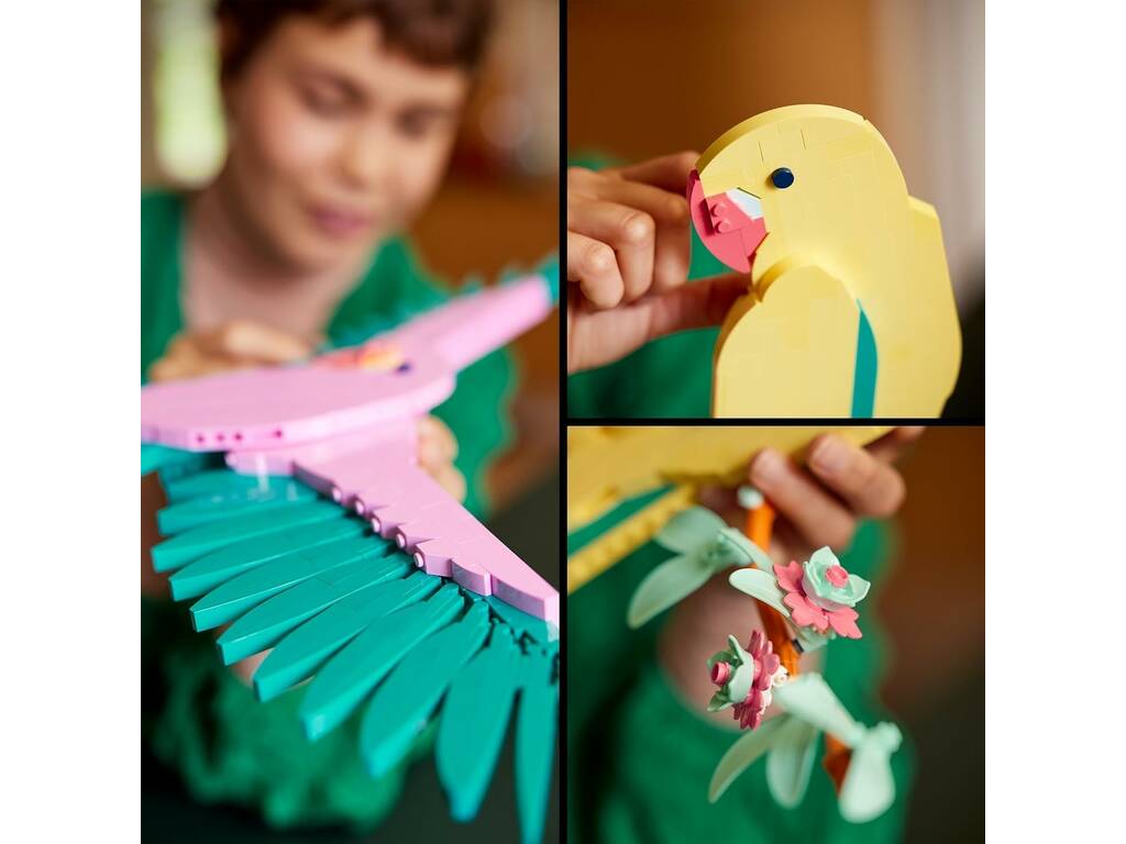 Lego Art Macaw Fauna Collection 31211