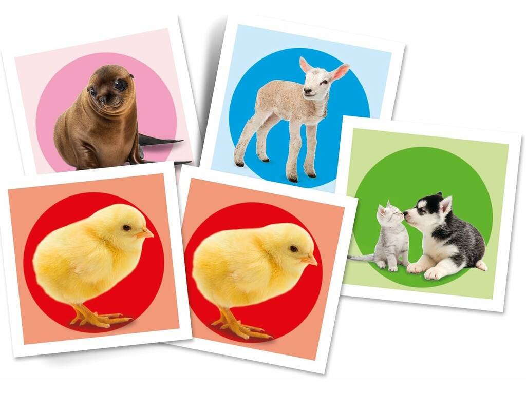 Memo Animais Bebés