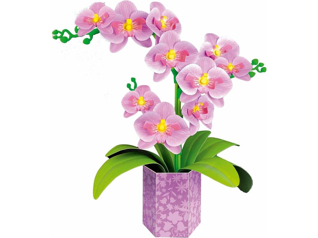 Art floral Orchidée
