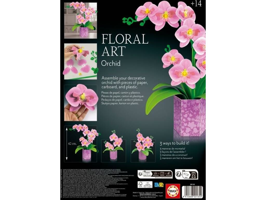 Art floral Orchidée