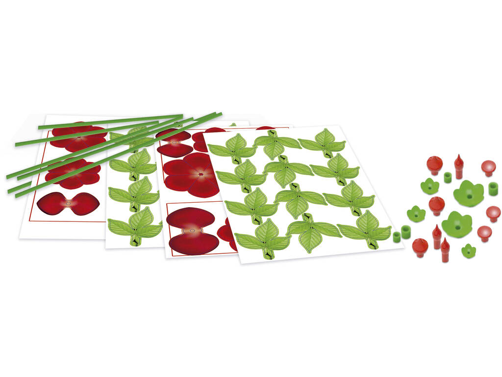 Floral Art Mazzetto di rose
