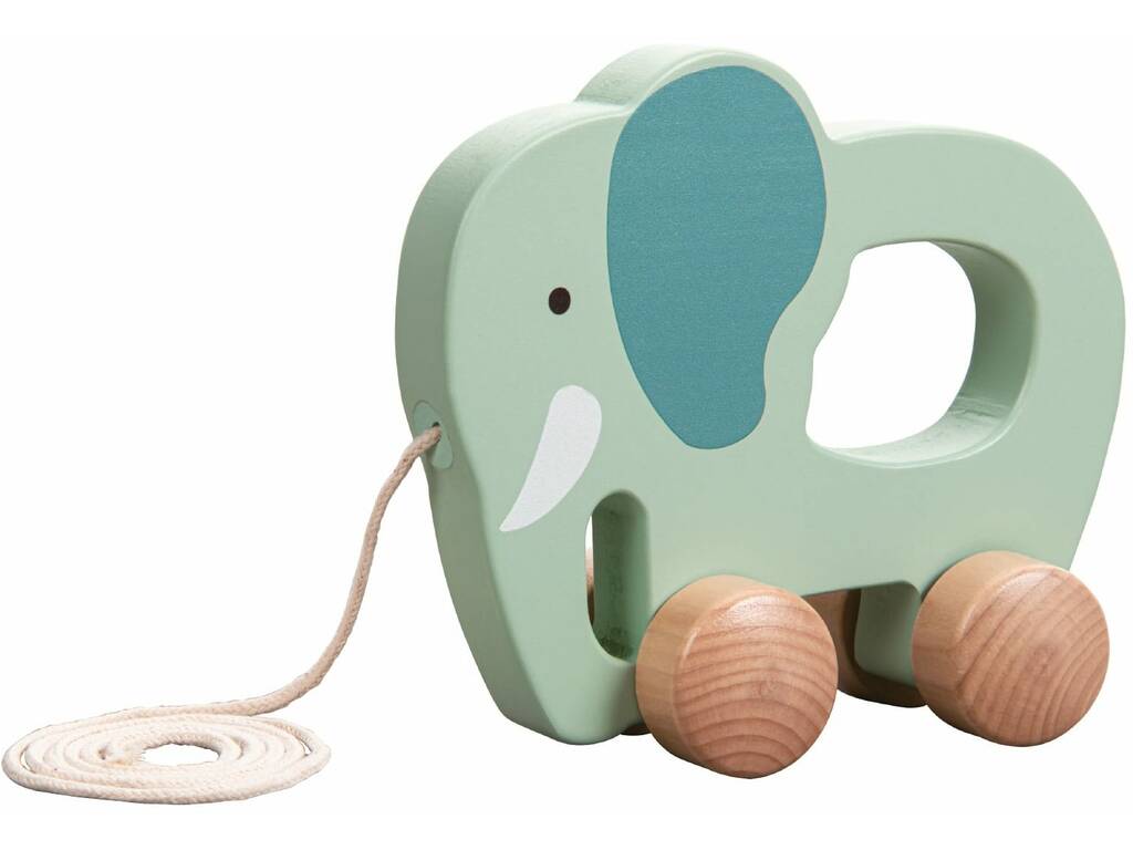 Jeu éducatif en bois de 18 pièces