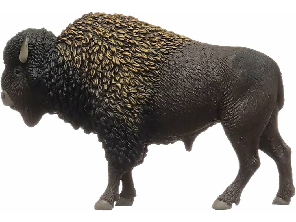 Wild Life Bisonte