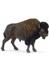 Wild Life Bison