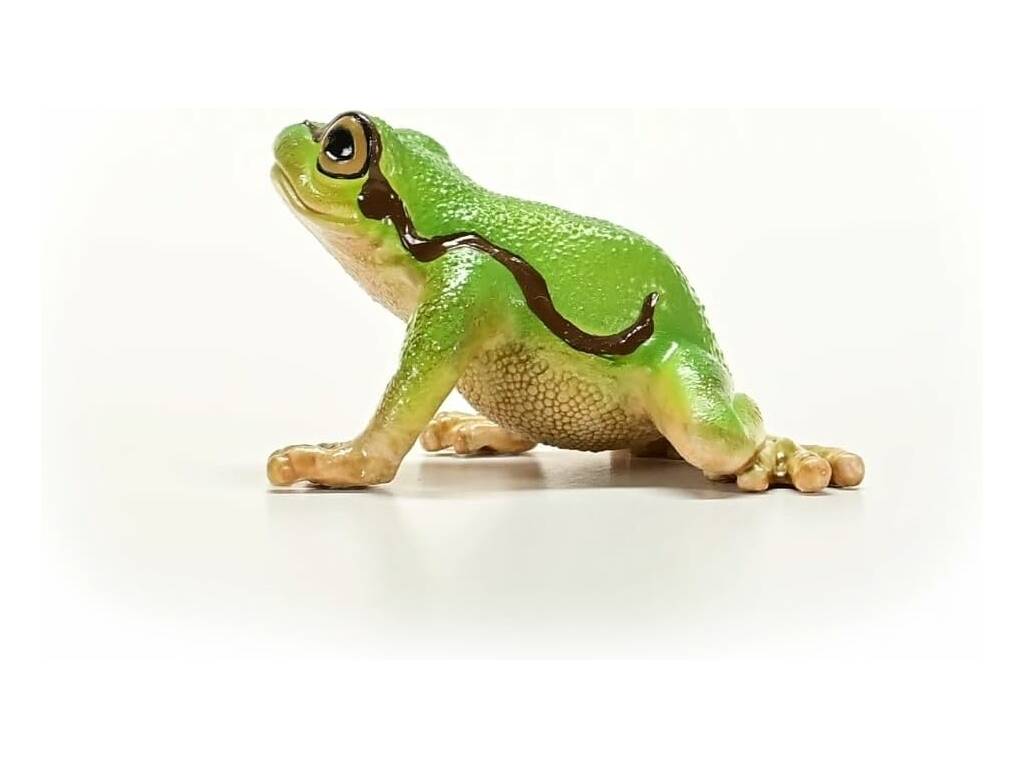Wild Life Rana arboricola europea