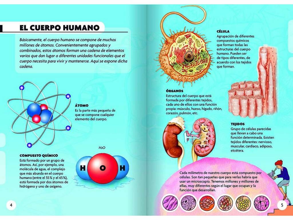 Libro Scopro e gioco Il corpo umano