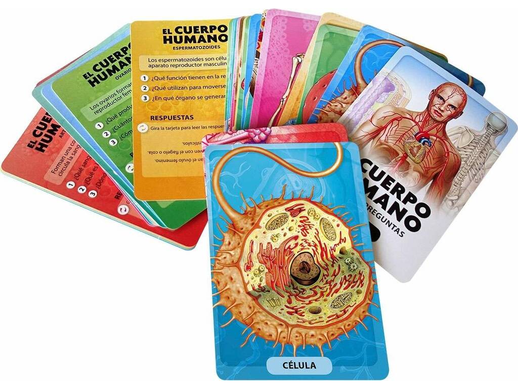 Libro Scopro e gioco Il corpo umano