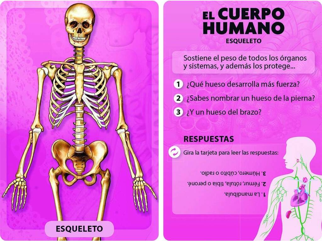Libro Scopro e gioco Il corpo umano