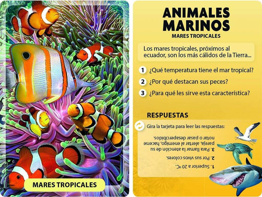Libro Scopro e gioco Animali marini
