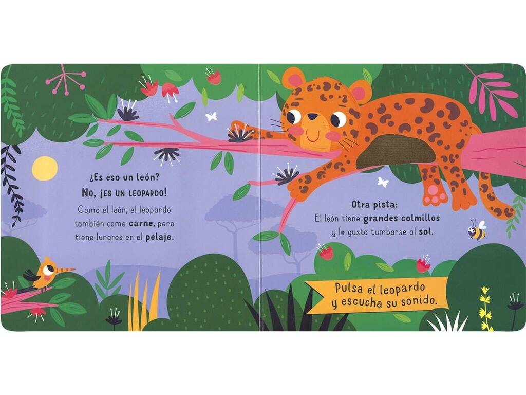 Libro Fantastici suoni Hai visto un leone?