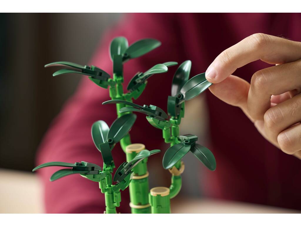 Bambou chanceux Lego Botanicals