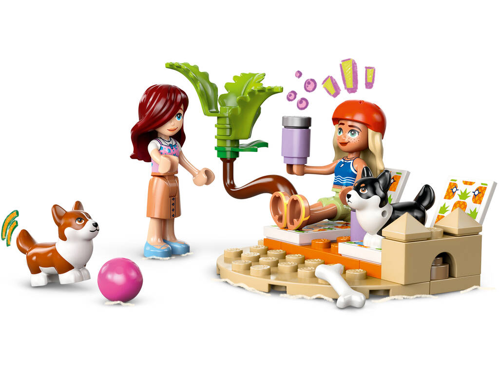 Lego Friends Surfer Pets et Adventure on Wheels