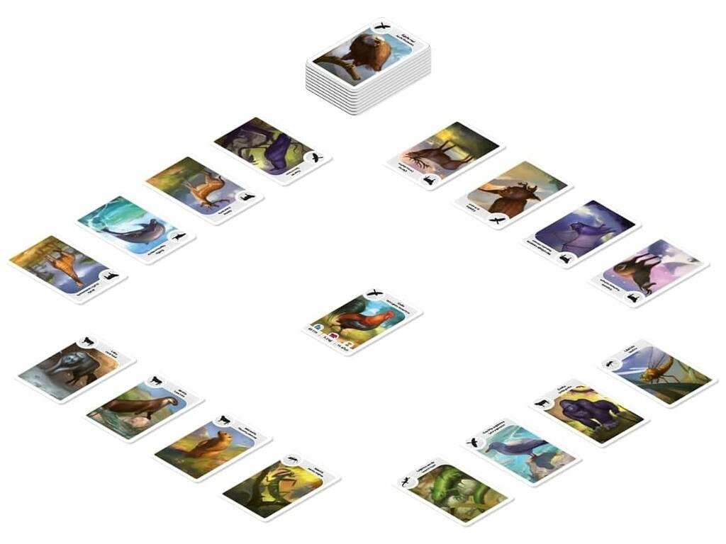 Cardline Animali
