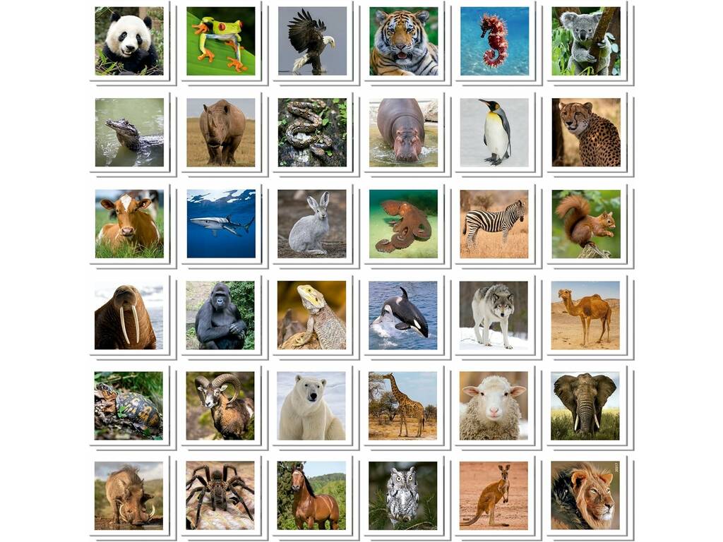 Jeu de mémoire pour mallettes d'animaux Identic
