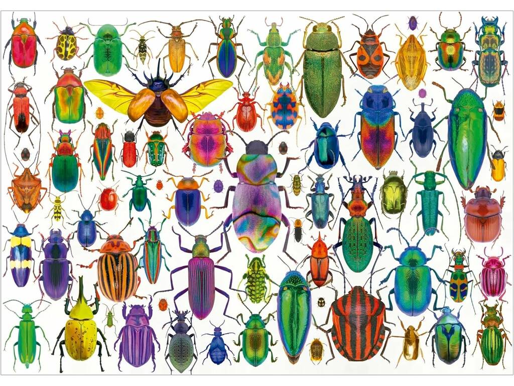 Puzzle 500 Escaravelhos