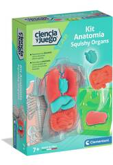 Kit d'anatomie des organes en peluche
