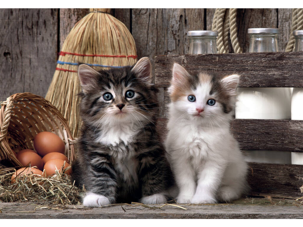Puzzle 1000 Lovely Kittens