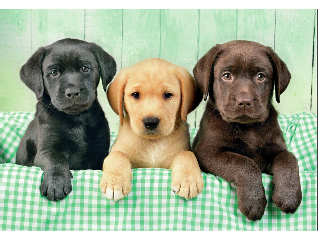 Puzzle 1000 Three Labs